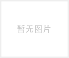 粉尘检测仪
